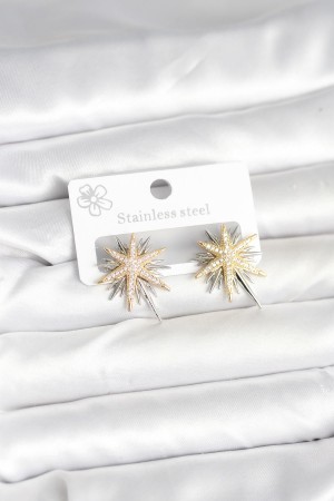 Pirinç Gümüş Renk Kutup Yıldızı Kadın Küpe - TJ-BKP11392