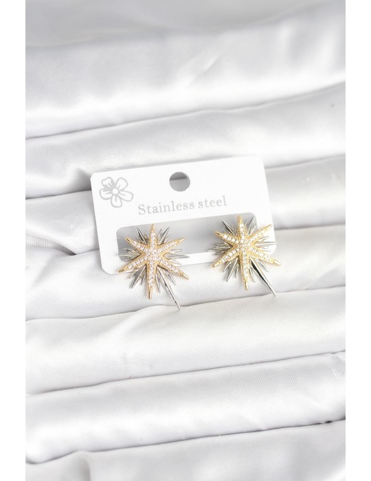 Pirinç Gümüş Renk Kutup Yıldızı Kadın Küpe - TJ-BKP11392