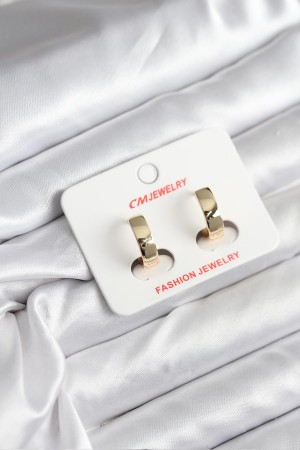 14K Gold Renk Kaplama CM Kadın Küpe - TJ-BKP11408