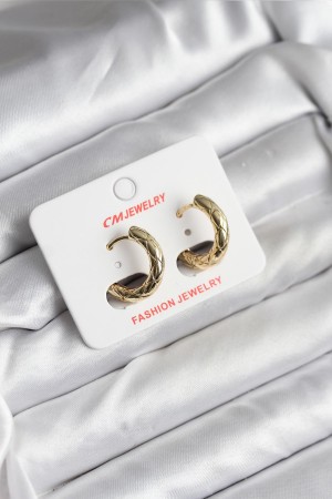 14K Gold Renk Kaplama CM Kadın Küpe - TJ-BKP11411