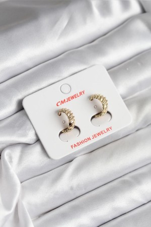 14K Gold Renk Kaplama CM Kadın Küpe - TJ-BKP11412