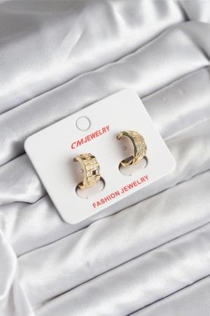 14K Gold Renk Kaplama CM Kadın Küpe - TJ-BKP11414