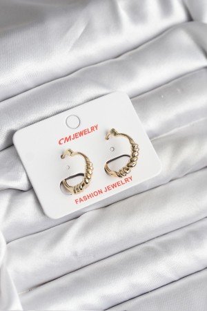 14K Gold Renk Kaplama CM Kadın Küpe - TJ-BKP11415