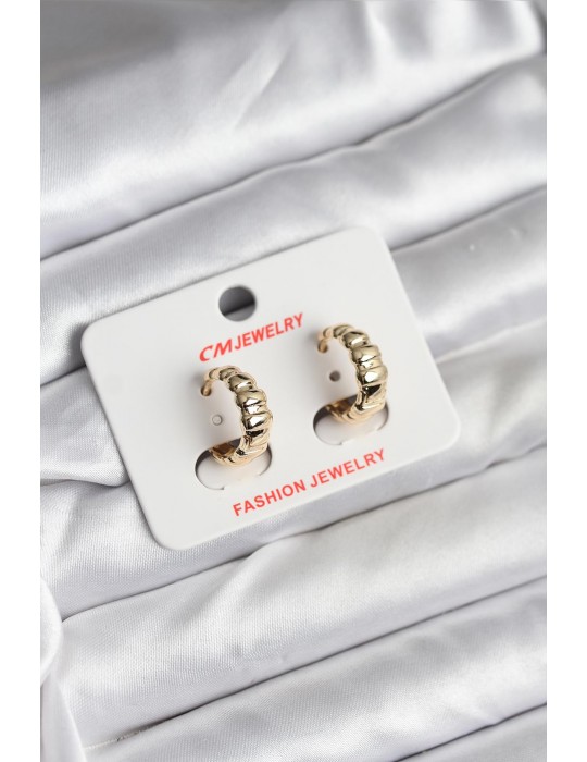 14K Gold Renk Kaplama CM Kadın Küpe - TJ-BKP11422