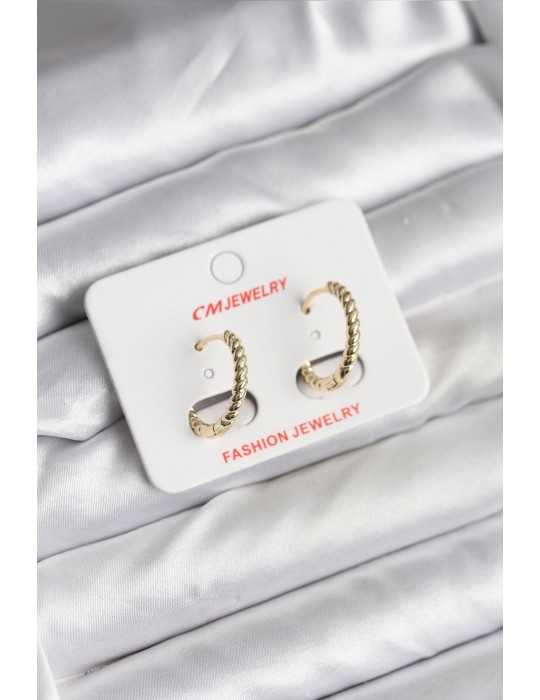 14K Gold Renk Kaplama Burgu Halka CM Kadın Küpe - TJ-BKP11423