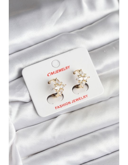 14K Gold Renk Kaplama Kutup Yıldız Zirkon Taşlı CM Kadın Küpe - TJ-BKP11427