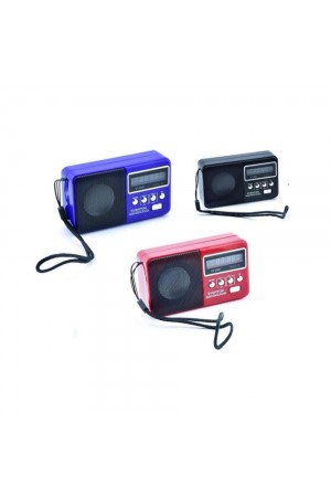 Usb Ve Micro Kart Girişli El Radyosu RT-303