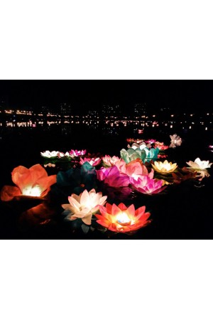 Nilüfer Su Feneri Nilüfer Su Feneri