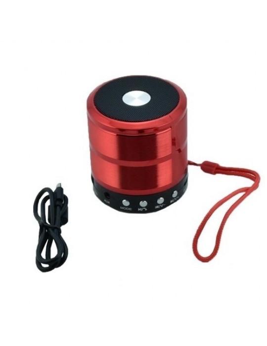 Bluetooth Usb Sd Ses Bombası RT-896