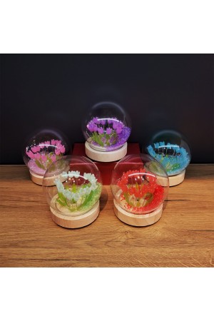 Led Işıklı Lale Cam Fanus 1 Adet Led Işıklı Lale Cam Fanus 1 Adet