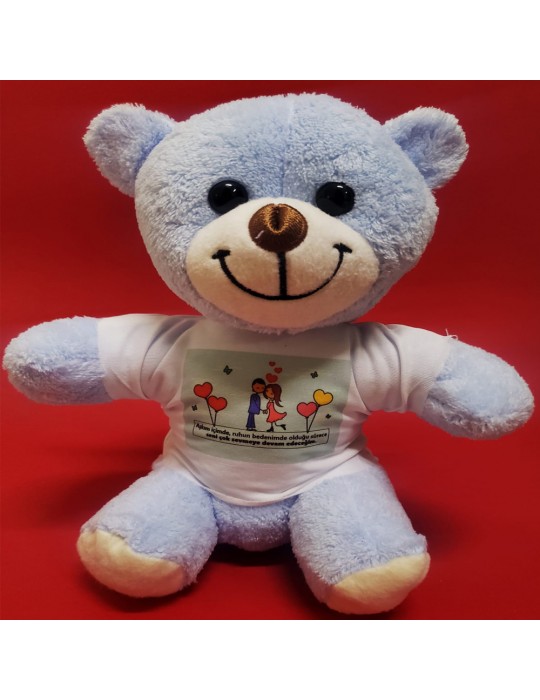 Tişörtlü Mavi Ayı