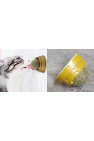 Kedi Nanesi Topu Kedi Nanesi Topu