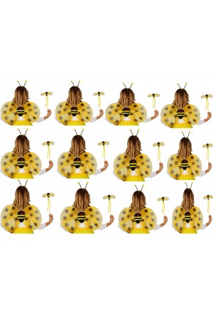 Okul Gösterileri için 12 li Arı Kanadı Seti - Etkinlik Kanatları