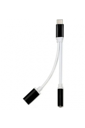 ZR310 Ft Ac 20 Type-C 2 İn 1 Çevirici ZR310 Ft Ac 20 Type-C 2 İn 1 Çevirici