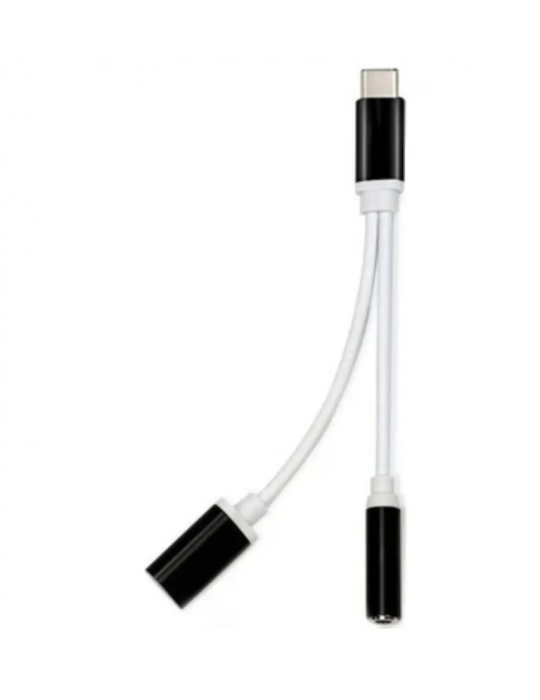 ZR310 Ft Ac 20 Type-C 2 İn 1 Çevirici