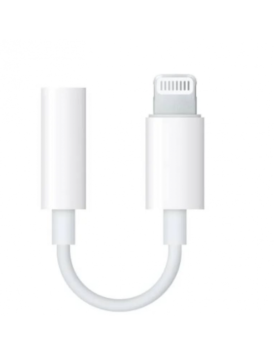 ZR58 Lightning Aux Çevirici