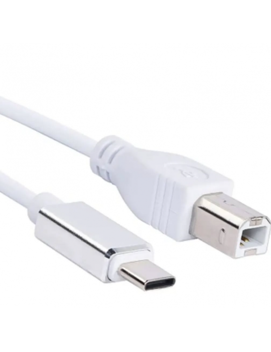 ZR360 Ads 501 Type-C Yazıcı Kablosu 1 M