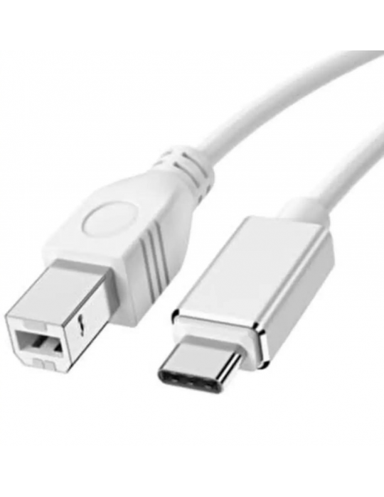 ZR360 Ads 501 Type-C Yazıcı Kablosu 2 M