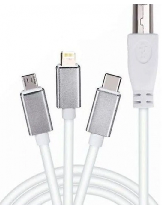 ZR362 Ads 501 Type-C 3 İn 1 Yazıcı Kablosu