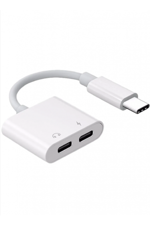 ZR293 Ftac42 Type-C 2 İn 1 Converter Adaptör ZR293 Ftac42 Type-C 2 İn 1 Converter Adaptör