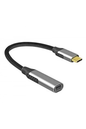 ZR125 Type-C Mini Dp Çevirici ZR125 Type-C Mini Dp Çevirici