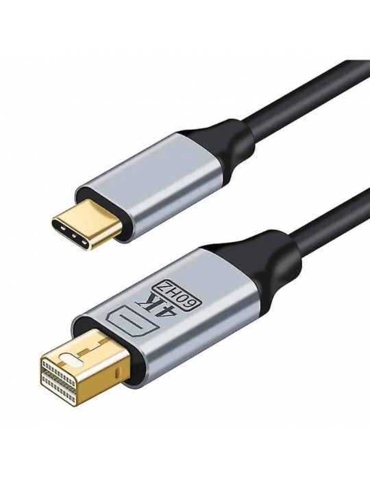 ZR126 Siyah Type-C Mini Dp Çevirici Kablo 1,8 M