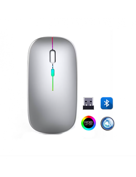 ZR215 Cba100 Rgb Gümüş Şarjlı Mouse