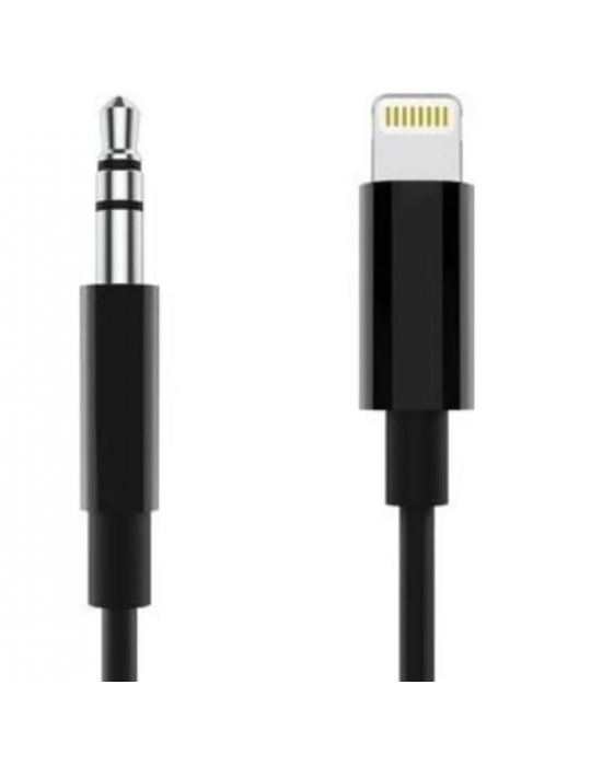 ZR500 Jh-023 Lightning Aux Çevirici