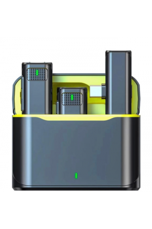 ZR569 V8 Type-C İkili Mikrofon