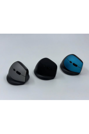ZR721 Dry Battery Ergonomik Mouse