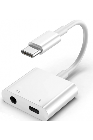 ZR733 Gl054-1 Type-C Aux Şarj Çevirici