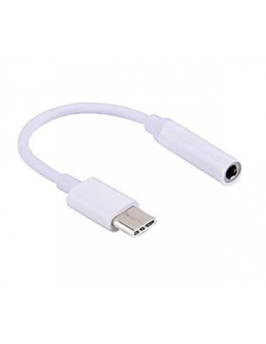 ZR862 Beyaz Type-C Kulaklık Çevirici