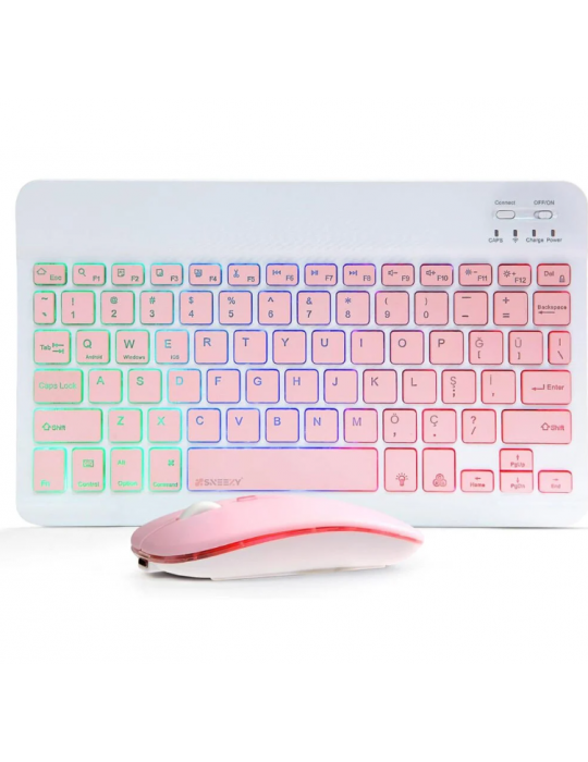 ZR955 Pembe Rgb Km Set