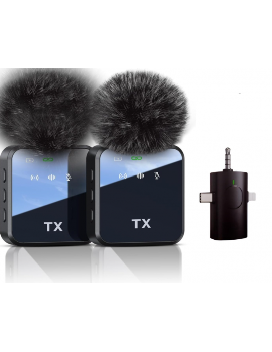 ZR983 F11-2 Kablosuz Çiftli Çok Girişli Mikrofon